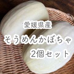 愛媛県産　農薬不使用　自然栽培　そうめんかぼちゃ　2個セット