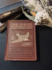 2025年最新】図鑑 鳥 洋書の人気アイテム - メルカリ