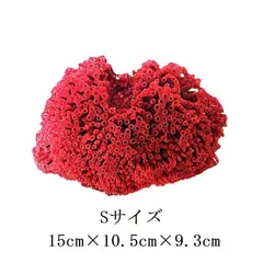 2025年最新】赤珊瑚 置物の人気アイテム - メルカリ