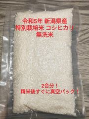 令和5年 新潟県産 特別栽培米 コシヒカリ 無洗米 2合 300g 真空パック