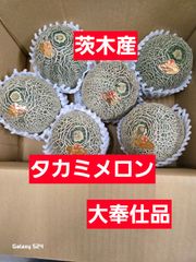 【茨城産】たかみメロン　6玉規格　　大奉仕品