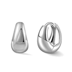 【在庫セール】bird フープ ピアス レディース シンプル リング ピアス 金属アレルギー対応 Free 両耳 ミニ 小さめ おしゃれ オフィス ギフト 女性 アクセサリー バレンタイン 入学式 卒業式