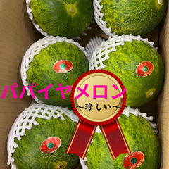 今季最後！！めずらしフルーツ　パパイヤメロン　　5kg　メロン　フルーツ