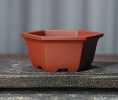 多肉植物鉢 紫砂鉢 盆栽鉢 植木鉢 小品盆栽鉢 大品盆栽鉢 - メルカリ