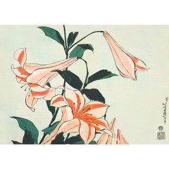 菖蒲（美人画・A2サイズ） A2サイズ 葛飾北斎 ポスター 花鳥図 百合 アートポスター 浮世絵