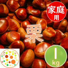 《冷蔵便》【家庭用】栗1kg 愛媛県産 (送料無料※北海道/東北/沖縄は追加送料) 《1～14日以内に発送》生栗 栗ごはん 渋皮煮 栗きんとん 和栗