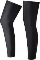 Item thumbnail for item 7d21d5e4-972d-4ed5-9d4a-ae828e84379e