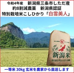 こしひかり玄米30kg　新潟県三条市旧しただ村産　減農薬　特別栽培米100%