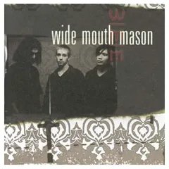 Wide Mouth Mason [Audio CD] Wide Mouth Mason