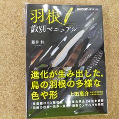 キングダムアンダーファイア:サークルオブドゥーム(初回生産限定