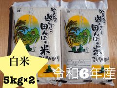 千葉県産　コシヒカリ　白米　10kg