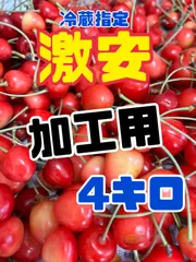 デコポン様　専用　予約販売　北海道産　さくらんぼ　加工　4キロのサムネイル