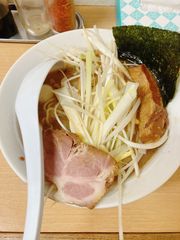 アガベ鉢 ハチ 植木鉢 インテリア 園芸 ガーデニング グラキリス 塊根