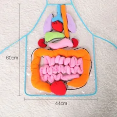 内臓 ないぞう パズル 器官 ヒューマンオルガン 知育おもちゃ 早期教育 理科 子ども キッズ お医者さん ごっこ遊び P_1 [ID:9162]のサムネイル