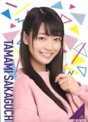 【中古】クリアファイル(女性アイドル) 阪口珠美 A4個別クリアファイル 「NOGIZAKA46 6th Anniversary 乃木坂46時間TV」