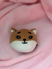 DAY6 プチデ二マルズ マスコット 人形 ドール キーホルダー リス服