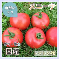 【国内育成・採取】 メニーナ 家庭菜園 種 タネ トマト 野菜