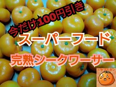【美肌効果】スーパーフード完熟シークワーサー30~50個【農家直送】