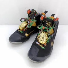 2025年最新】LEBRON IXの人気アイテム - メルカリ