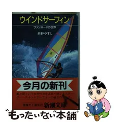 1点物になります。 2011 GAASTRA SAVAGE 6.7 ウインドサーフィンセイル