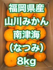 2024年最新】なつみ みかんの人気アイテム - メルカリ