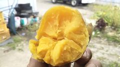 ジャガイモ「インカのめざめ」10kg 北海道産