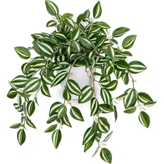 【新品】 Villa Como フェイクグリーン インテリア グリーン 人工観葉植物 卓上 鉢植え 造花 エアプランツ 新築祝い 開店祝い 新年 クリスマス オフィス 店 おしゃれ (緑03)