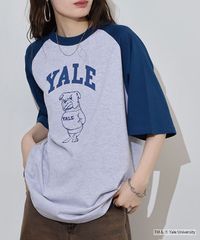 YALE イェール OVERSIZED RAGLAN T-SHIRT ビッグシルエットラグラン カレッジ Tシャツ 5.6oz　メンズ レディース カレッジ ロゴ アメカジ スポーツ ブランド
