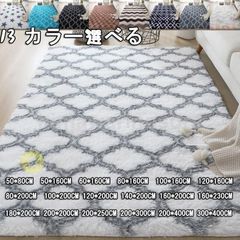ラグ シャギー ふわふわ ラグマット 絨毯 カーペット リビング 無地 マット ホットカーペットカバー 北欧 風 おしゃれ 大きいサイズ 小さい