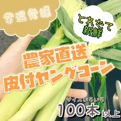 【予約】新鮮！おいしい！皮付きヤングコーン 100本以上【常温・5月中旬~下旬発送】