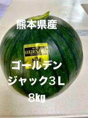 【産地直送・希少スイカ】熊本県産大玉黒すいか　ゴールデンジャック３Ｌ　黄色すいか種なしすいか　正規品　秀品　贈答用