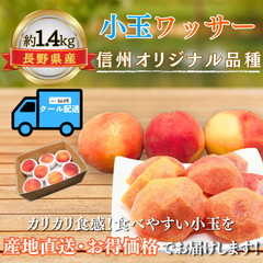 小玉ワッサー〜信州生まれの新食感フルーツ〜【内容量】約1.4kg【配送方法】クール配送【サイズ】L以下【品目】ワッサー【品種】当店お任せ【産地】長野県【規格】ご家庭用A品【販売会社】有限会社青木青果
