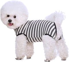 Item thumbnail for item b5232055-4c76-473a-90a4-8d3b06684c58