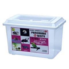 Item thumbnail for item acfbdf6f-4814-4cbc-b173-9cfe08e7d25b