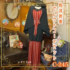 羽織り 和装 多系統コーデ 異素材ミックス まとめ売り レトロ クラシカル 和洋折衷 セレクト 古着 黒/ブラック×赤/レッド×ストライプ柄系 2点セット C-245