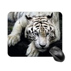 Item thumbnail for item 676c1c5f-0f92-4028-a848-9ab2065c6038