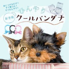 【3個セット】クールバンダナ 犬用 熱中症対策 水で濡らす Cool  夏バテ 熱中症対策 暑さ 気化熱 ペット 犬 首 夏 暑さ ひんやり 冷え 夏用品 涼感 水分 散歩 外出 夏バテ防止 ネッククーラー 冷やす MSBC 産地直送