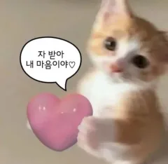 b-----様