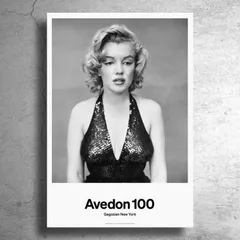 激レア完売品「マリリン・モンロー」リチャード・アベドン撮影ポスター