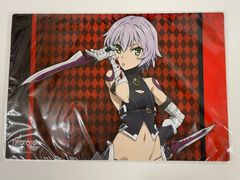 부시로드 고무 매트 컬렉션 Vol.153 Fate/Apocrypha [검은 어쌔신]
