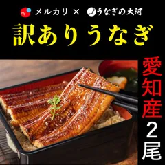 愛知産うなぎ 蒲焼 (151g～181g)ｘ2尾 うなぎ 国産うなぎ 鰻蒲焼 鰻 蒲焼き【うなぎの大河】訳あり