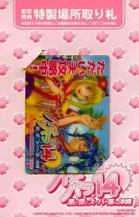 パチパラ8.パチパラ9.パチパラ13. パチパラ13 ～スーパー海とパチプロ風雲録～ 中古ゲーム