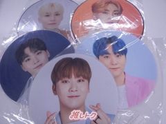 SEVENTEEN SEUNGKWAN グッズセット スングァン うちわ5枚 Ode to