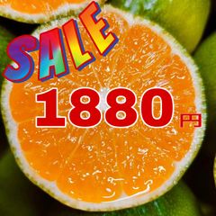 SALE‼️味濃い玉津みかん　極早生　家庭用　小玉4.5kg   産地直送　日南