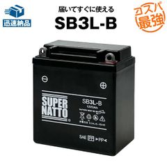 65958-04S(シールド型) ハーレー専用AGMバッテリー スーパーナット