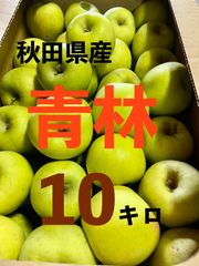 秋田県産りんご　青林約10キロ　家庭用