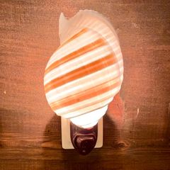 ミヤシロ貝のランプ