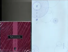 全巻購入/全プレ 崎谷はるひ 小冊子「空にみる倖い」+CD「Papillon de chocolat」
