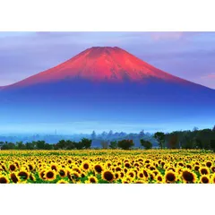 絵画風 壁紙ポスター (はがせるシール式) 赤富士 朝焼けの富士山と向日葵畑 ひまわり 幸運 開運 縁起物 風水 パワースポット キャラクロ FJS-033A2 (A2版 594mm×420mm) ＜日本製＞ ウォールステッカー お風呂ポスター