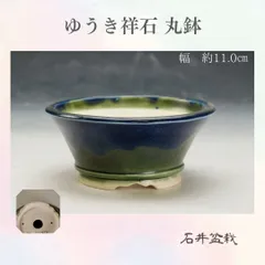 2025年最新】鉢 祥石の人気アイテム - メルカリ